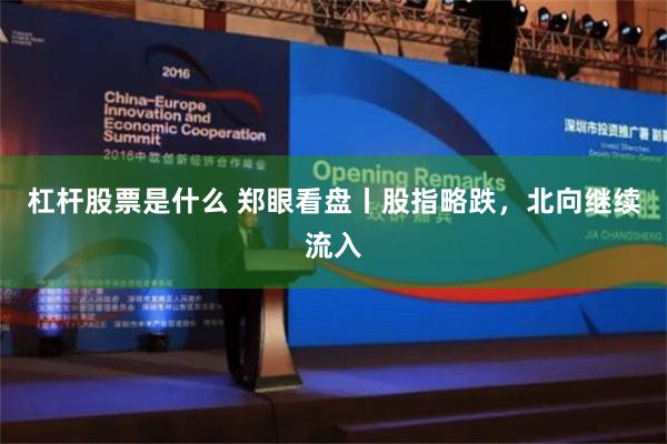杠杆股票是什么 郑眼看盘丨股指略跌，北向继续流入