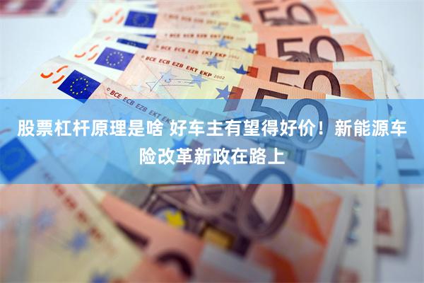 股票杠杆原理是啥 好车主有望得好价！新能源车险改革新政在路上