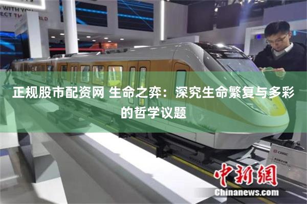 正规股市配资网 生命之弈：深究生命繁复与多彩的哲学议题