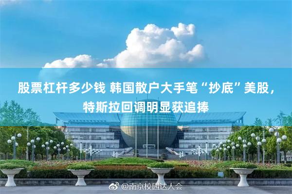 股票杠杆多少钱 韩国散户大手笔“抄底”美股，特斯拉回调明显获追捧