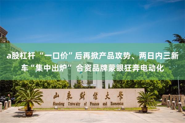 a股杠杆 “一口价”后再掀产品攻势、两日内三新车“集中出炉” 合资品牌蒙眼狂奔电动化