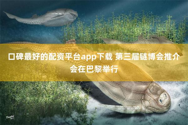 口碑最好的配资平台app下载 第三届链博会推介会在巴黎举行