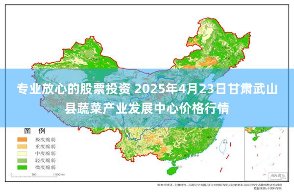 专业放心的股票投资 2025年4月23日甘肃武山县蔬菜产业发展中心价格行情