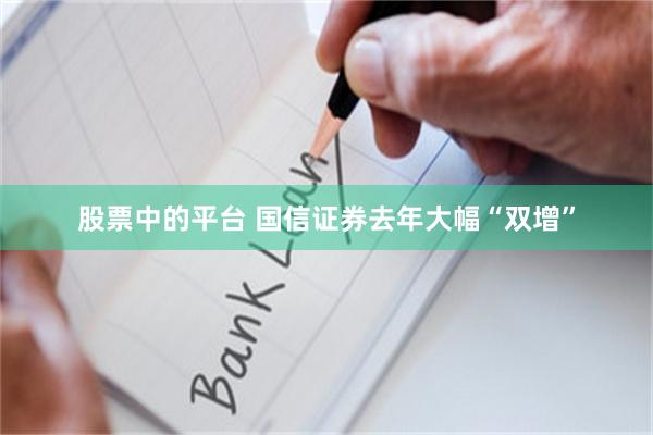 股票中的平台 国信证券去年大幅“双增”