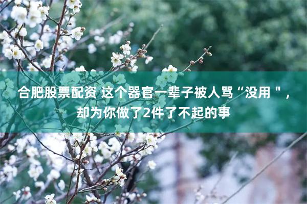 合肥股票配资 这个器官一辈子被人骂“没用＂，却为你做了2件了不起的事