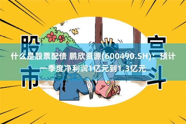 什么是股票配债 鹏欣资源(600490.SH)：预计一季度净利润1亿元到1.3亿元