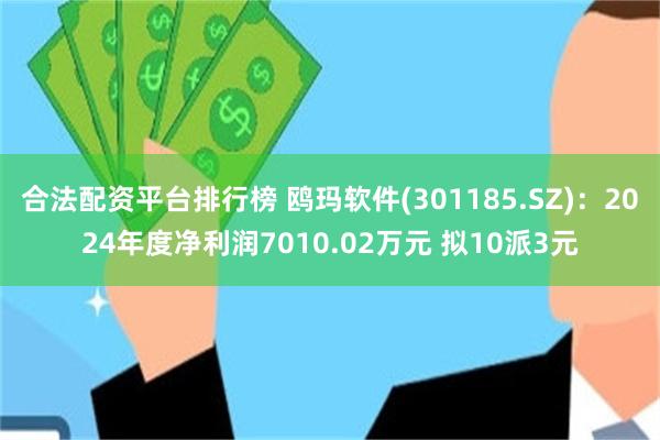 合法配资平台排行榜 鸥玛软件(301185.SZ)：2024年度净利润7010.02万元 拟10派3元