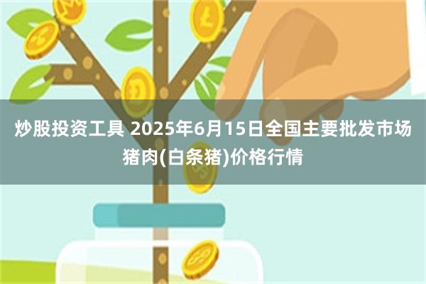 炒股投资工具 2025年6月15日全国主要批发市场猪肉(白条猪)价格行情