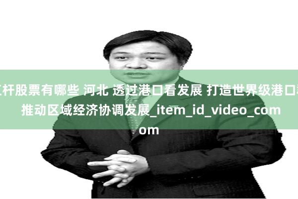 杠杆股票有哪些 河北 透过港口看发展 打造世界级港口群 推动区域经济协调发展_item_id_video_com