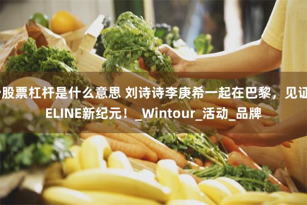 炒股票杠杆是什么意思 刘诗诗李庚希一起在巴黎，见证CELINE新纪元！_Wintour_活动_品牌