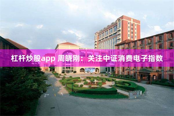 杠杆炒股app 周晓刚:关注中证消费电子指数