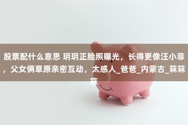 股票配什么意思 玥玥正脸照曝光，长得更像汪小菲，父女俩草原亲密互动，太感人_爸爸_内蒙古_箖箖