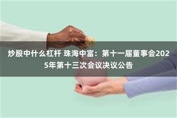 炒股中什么杠杆 珠海中富：第十一届董事会2025年第十三次会议决议公告