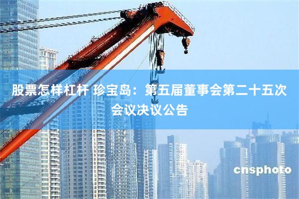股票怎样杠杆 珍宝岛：第五届董事会第二十五次会议决议公告