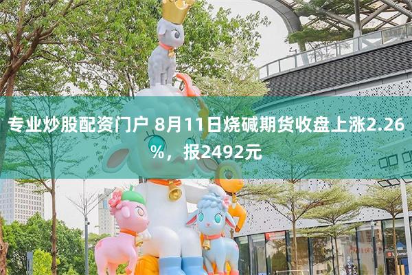 专业炒股配资门户 8月11日烧碱期货收盘上涨2.26%，报2492元