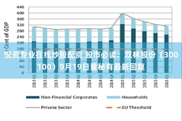 配资专业在线炒股配资 股市必读：双林股份（300100）9月19日董秘有最新回复